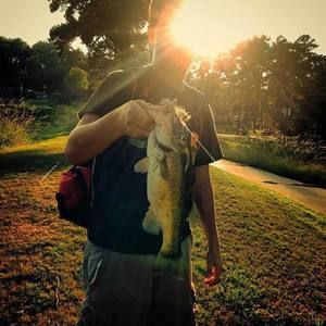 Meet your Posher, Johnathan